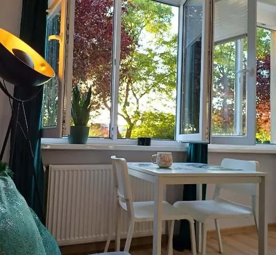 Stella ブィドゴシュチュ