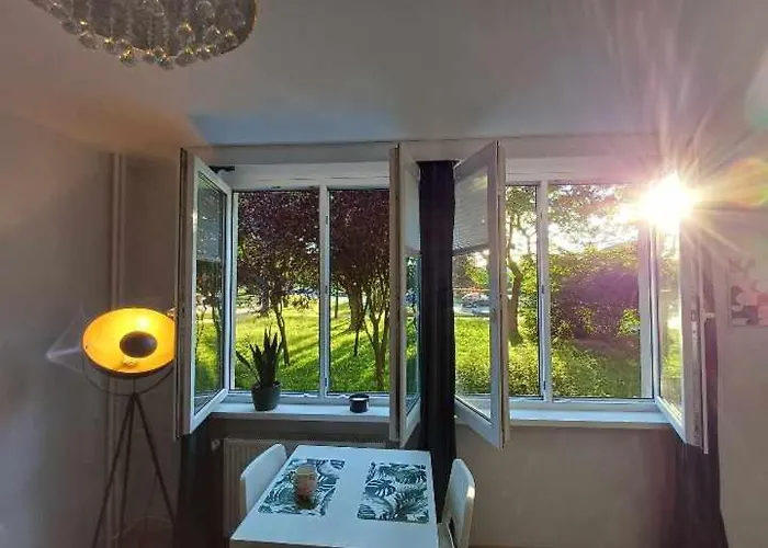 Stella * ブィドゴシュチュ