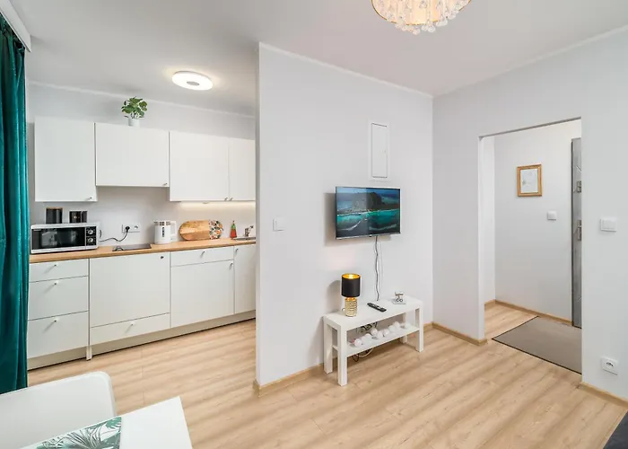 Stella ブィドゴシュチュ